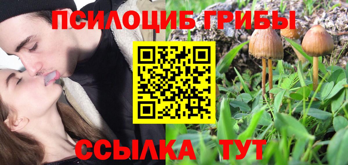 Ростов-на-Дону  наркота  Вход с VPN  Галлюциногенные грибы MAGIC MUSHROOMS  Псилоцибиновые грибы MAGIC MUSHROOMS 
