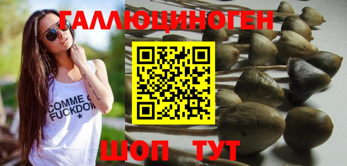 Ростов-на-Дону  КОКАИН  Купить наркотик  Вход с VPN  Alpha-PVP СОЛЬ кристаллы  Каннабис  Меф МЯУ МЯУ  